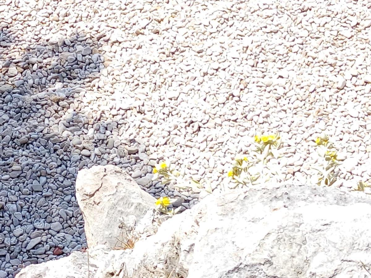 Villa Ana Živogošće Esterno foto