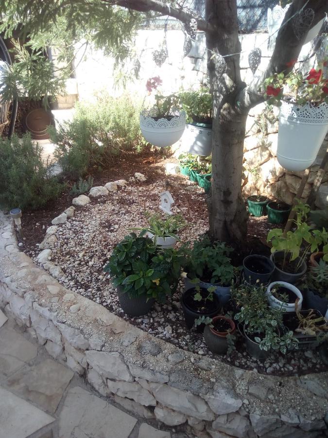 Villa Ana Živogošće Esterno foto