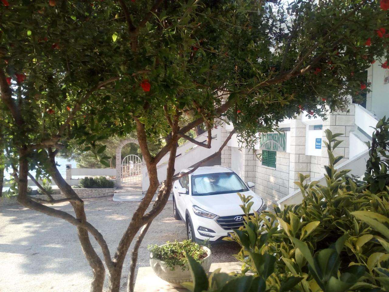 Villa Ana Živogošće Esterno foto