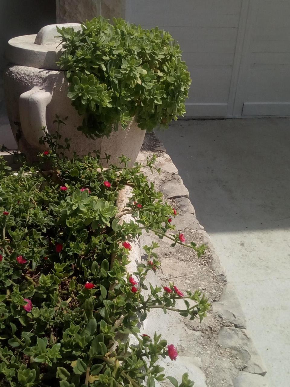 Villa Ana Živogošće Esterno foto